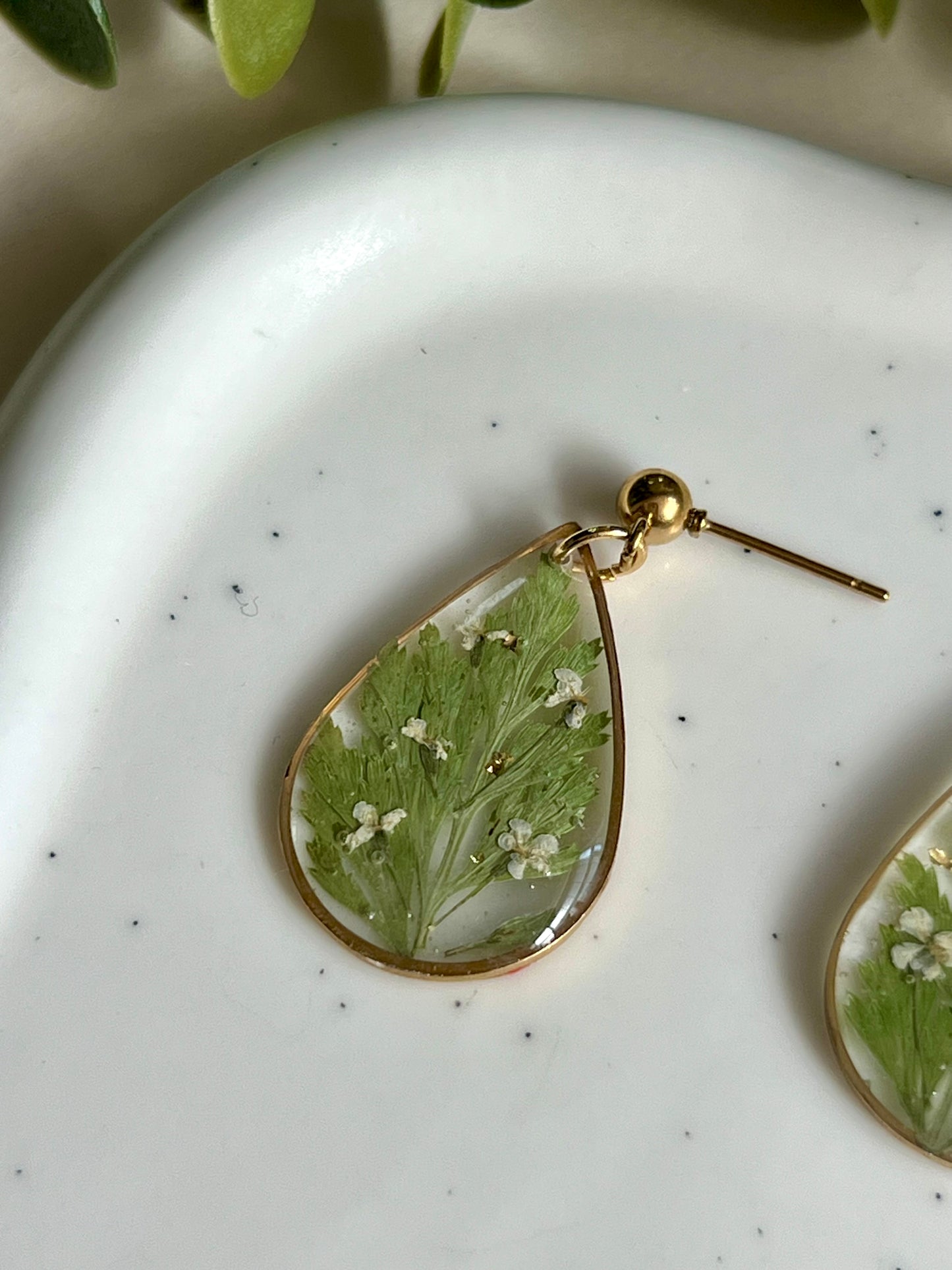 Lágrima floral silvestre